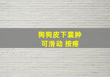 狗狗皮下囊肿 可滑动 按疼